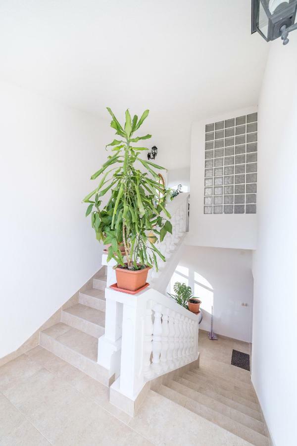 Apartman Bilac Водице Экстерьер фото